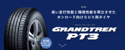 ダンロップ GRANDTREK PT3 265/65R17　112H