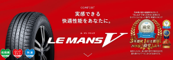 ダンロップ LEMANS-V 195/65R15 91H